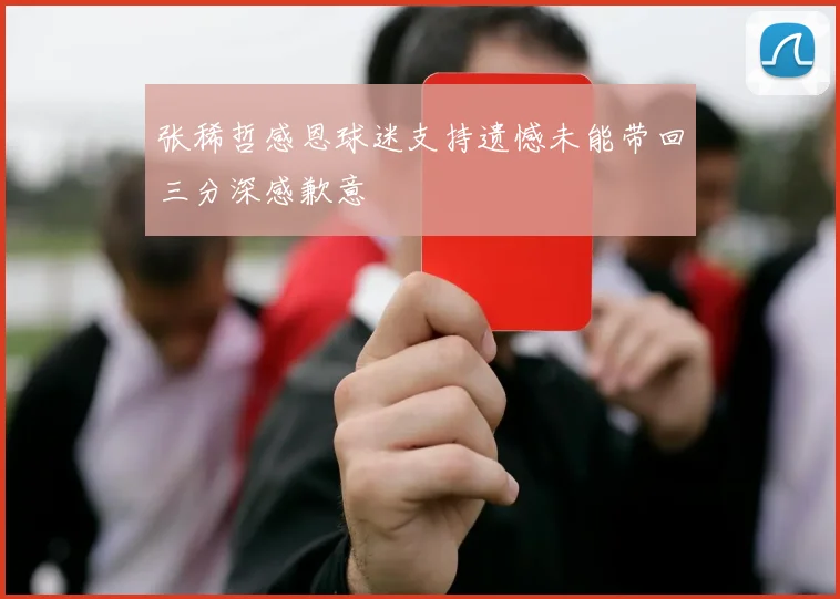 张稀哲感恩球迷支持遗憾未能带回三分深感歉意