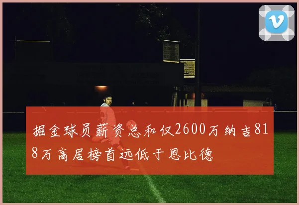 掘金球员薪资总和仅2600万纳吉818万高居榜首远低于恩比德