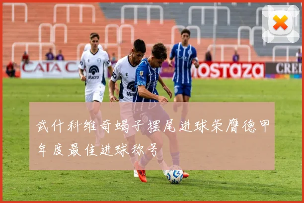 武什科维奇蝎子摆尾进球荣膺德甲年度最佳进球称号