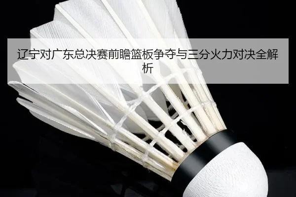 辽宁对广东总决赛前瞻篮板争夺与三分火力对决全解析（hth）